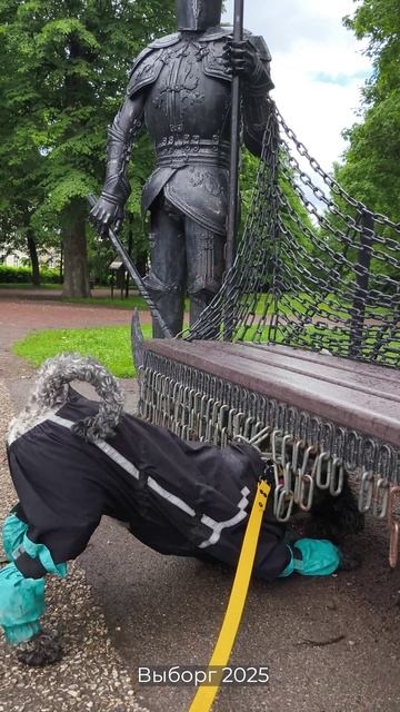 Реми изучает историю