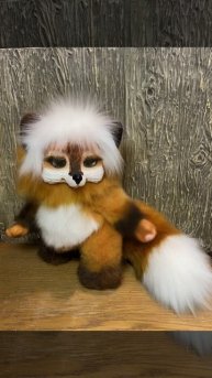 Рыжий лисенок