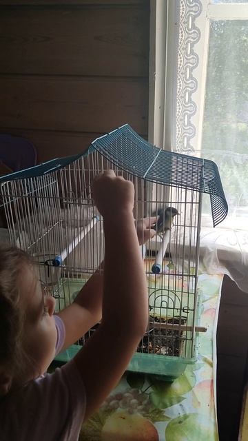 Диана играет с птичкой 🐦#деревня