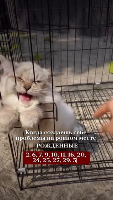 Еще больше интересных фактов, прогнозов и полезной информации в моем телеграм → https://t.me/+mA_GP