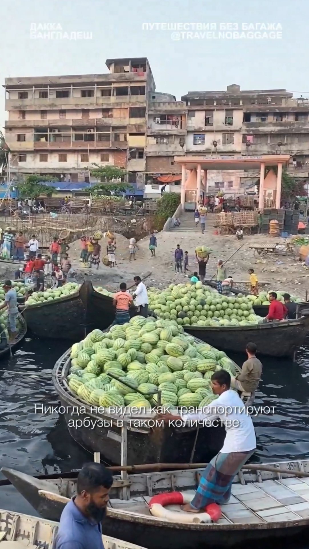 🇧🇩 В Бангладеш все выкидывают тухлые арбузы прямо на набережную!