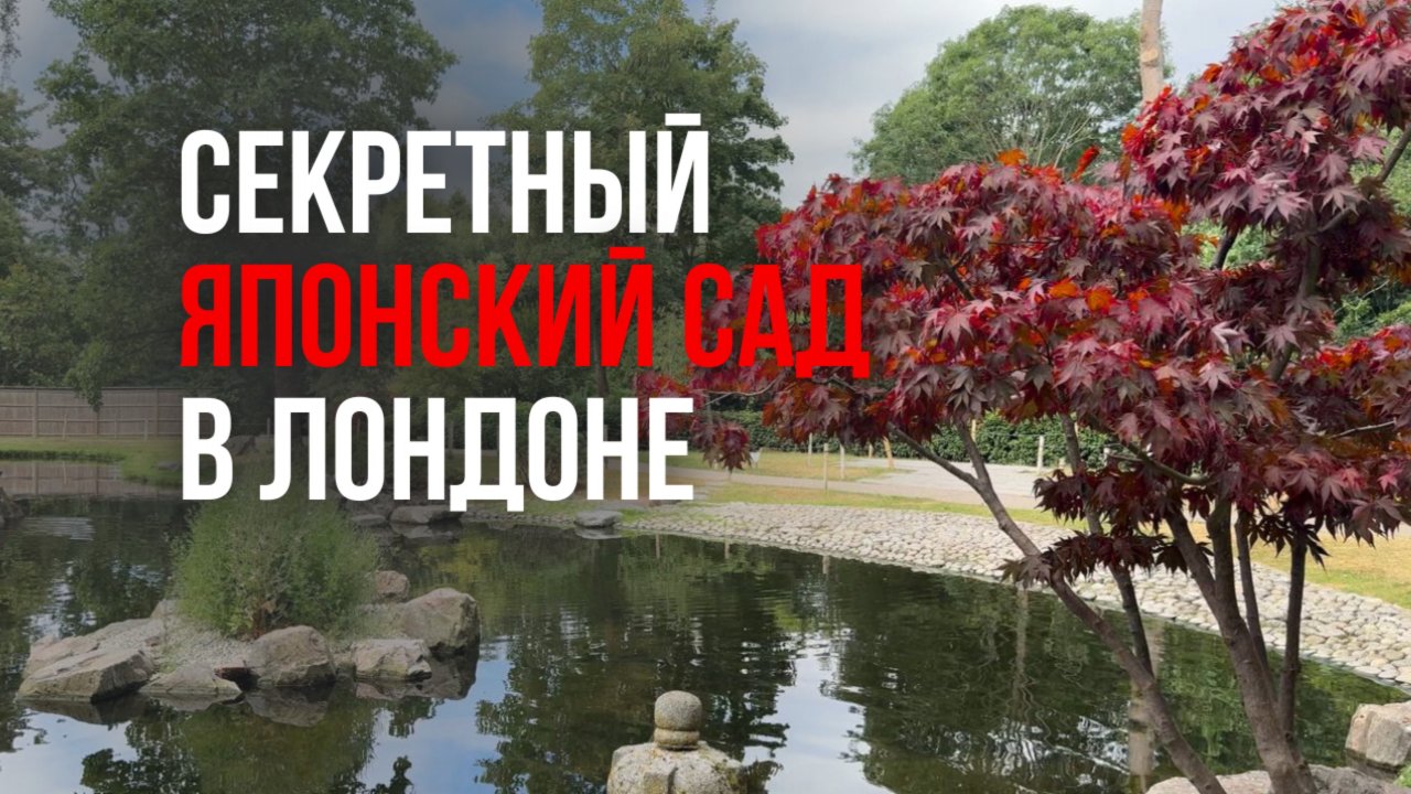 Секретный японский сад в Лондоне 🌿 Kyoto Garden в Holland Park