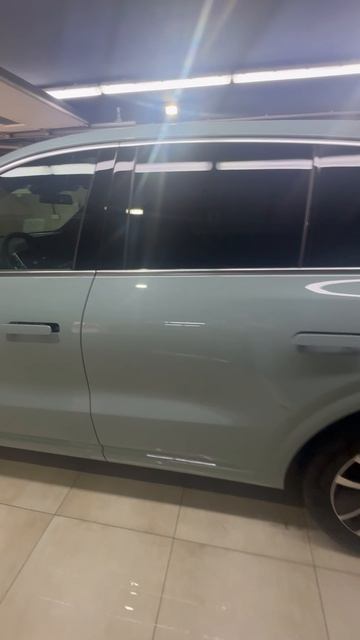 Новый лисянг