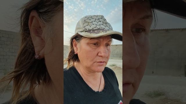 Нужно срочно построить вольеры