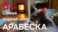 Самая первая Арабеска через 5 лет
