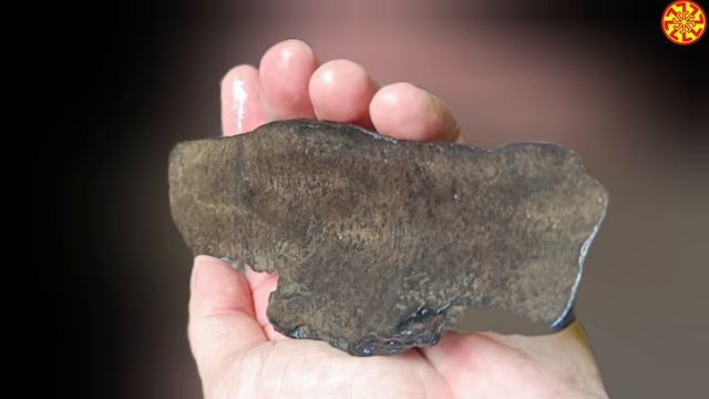 Фрагмент окаменелой коры дерева и ещё немного интересного 🔥🔥🔥