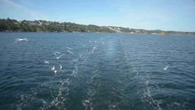 Ускользаешь Стихи Ольги Бурлака Музыка и исп Николай Жуков Видеомонтаж Елены Рыжаковой