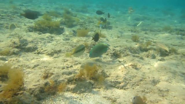 Baron Resort (лагуна)