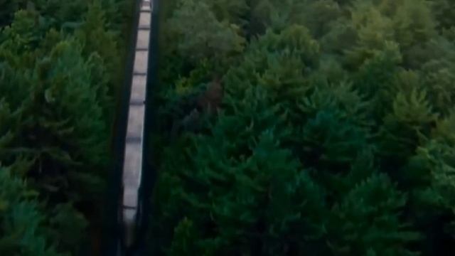 Голодные игры / The Hunger Games, 2012