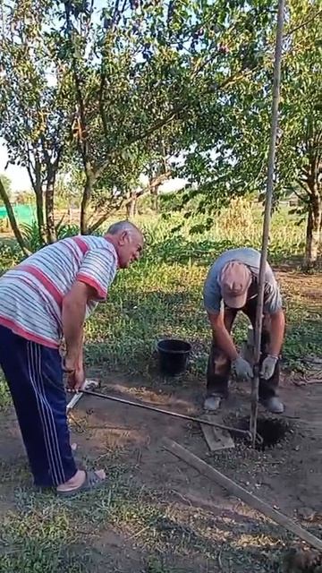 В степи засуха.