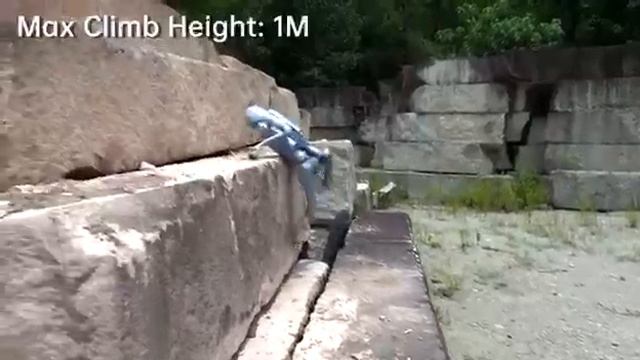 VID-20250805-WA0005.mp4