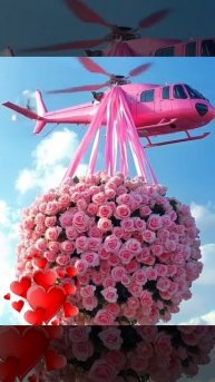 VID_20250811_121553_670.mp4