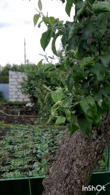 Дом и двор.Сборник интересных моментов на эту тему.Фильм2.Серия2.Часть3.mp4