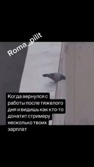 #знакомо #жиза #прикол #юмор #смех