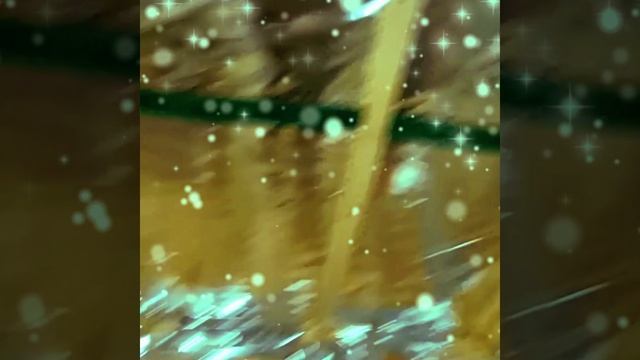 1000031722.mp4 (Собака наблюдает за устройством плоскости каркаса в ванной комнате дома А-фрейм)