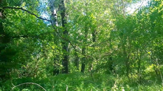 #цыган #2024 Сериал