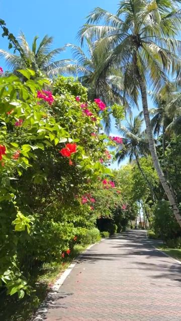 VID_20250811_164310_615.mp4