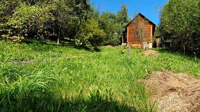 Я умер чуть...