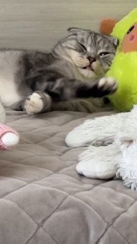 Привет всем, кто проснулся🥱 Утречко сегодня такое🫠