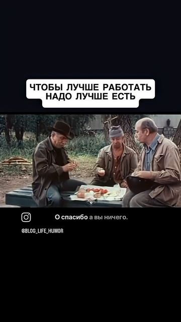 11 августа 2025 г.