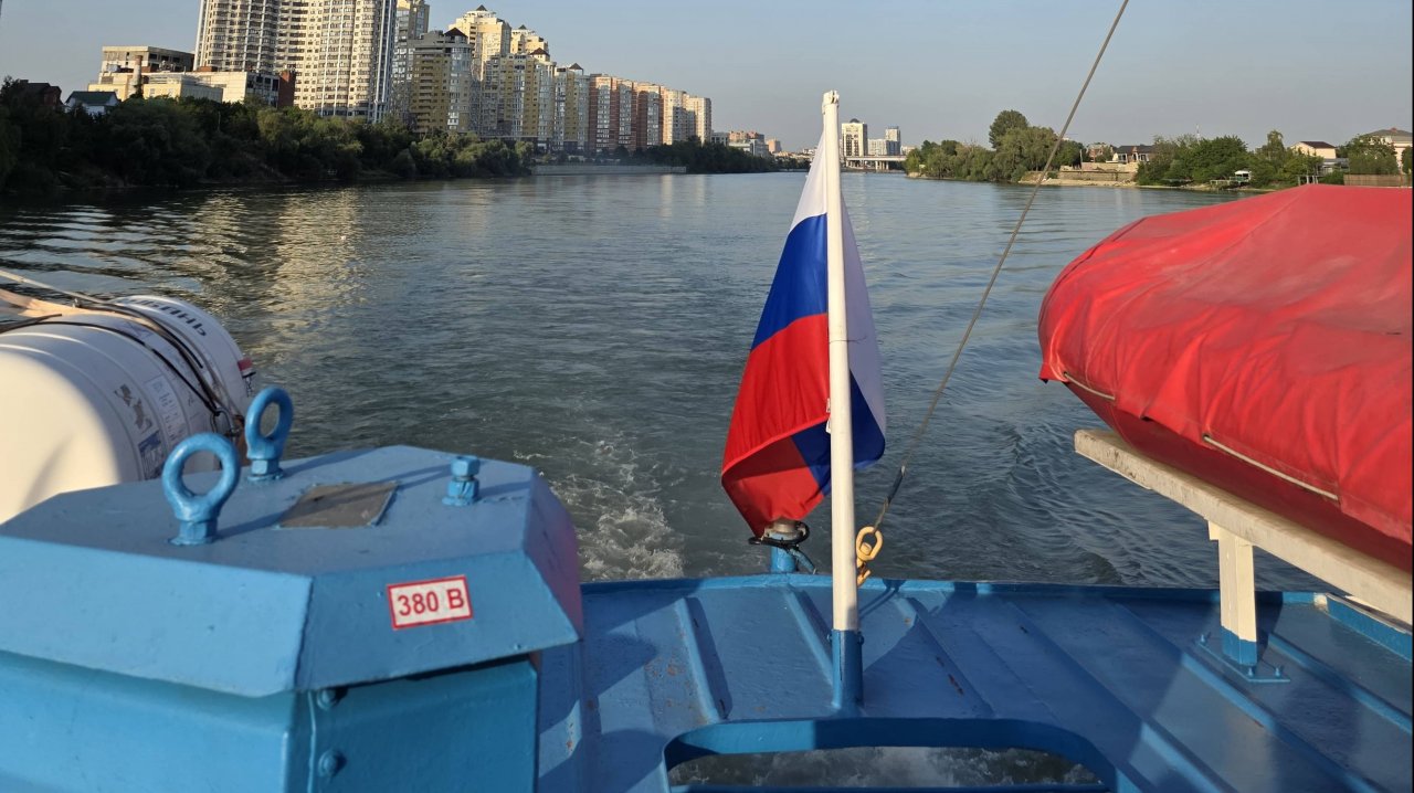 Медведи на буйволах.