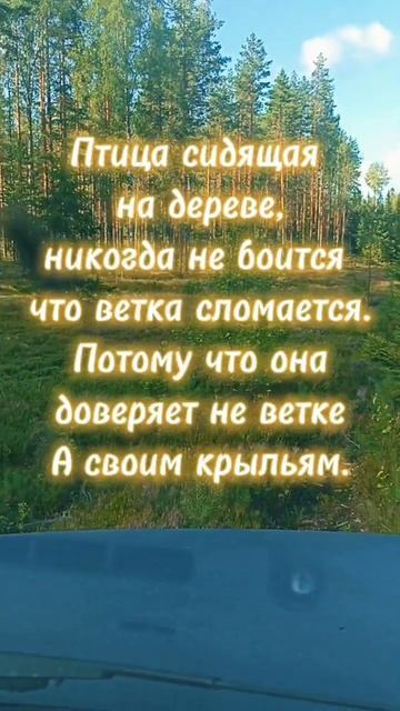 Психология жизни