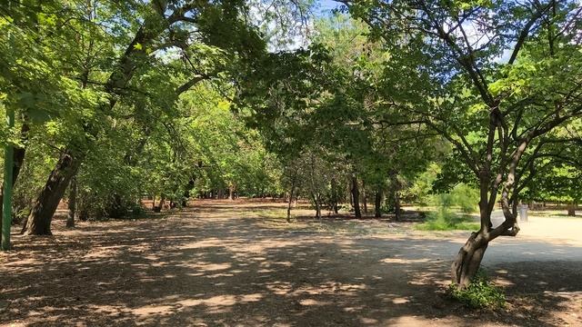 realme GT 7 Dream Edition 4K 120 fps