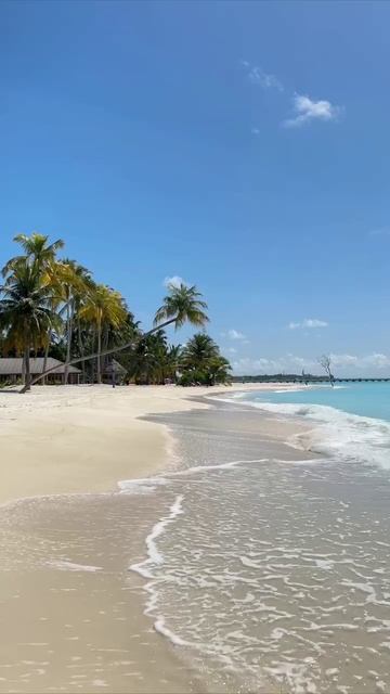 VID_20250811_212130_573.mp4