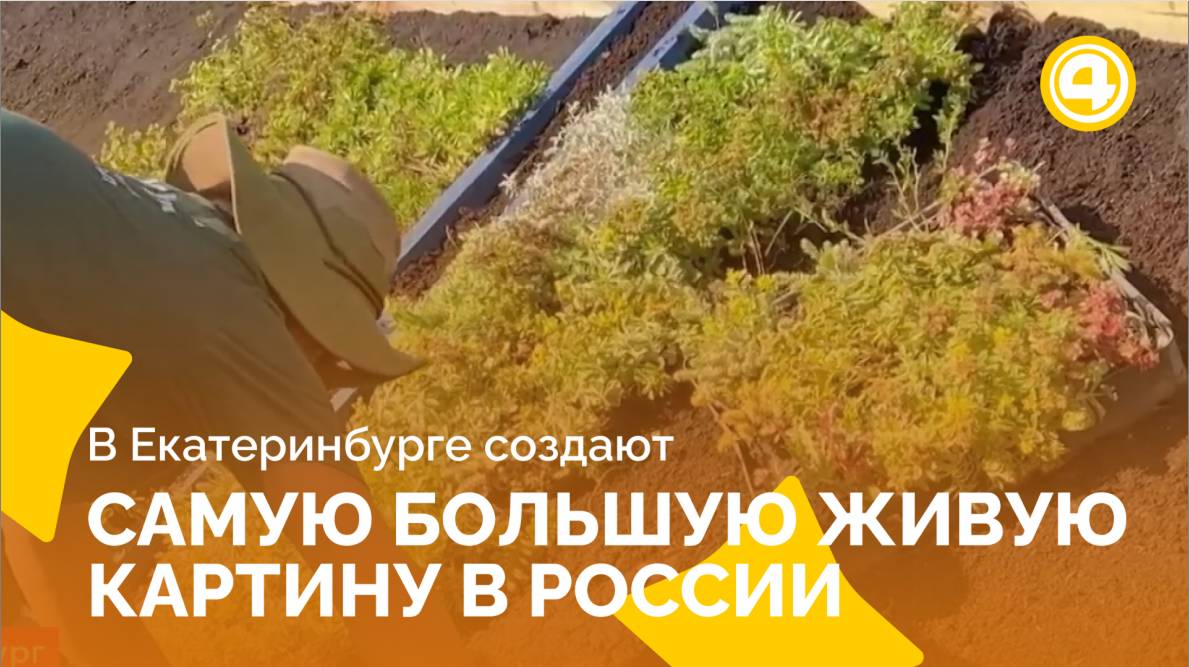 Рекордная живая картина украсит столицу Урала