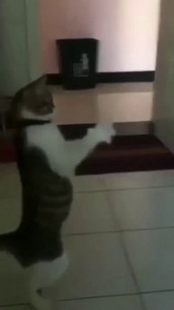 Питание + Тренировки = Результат