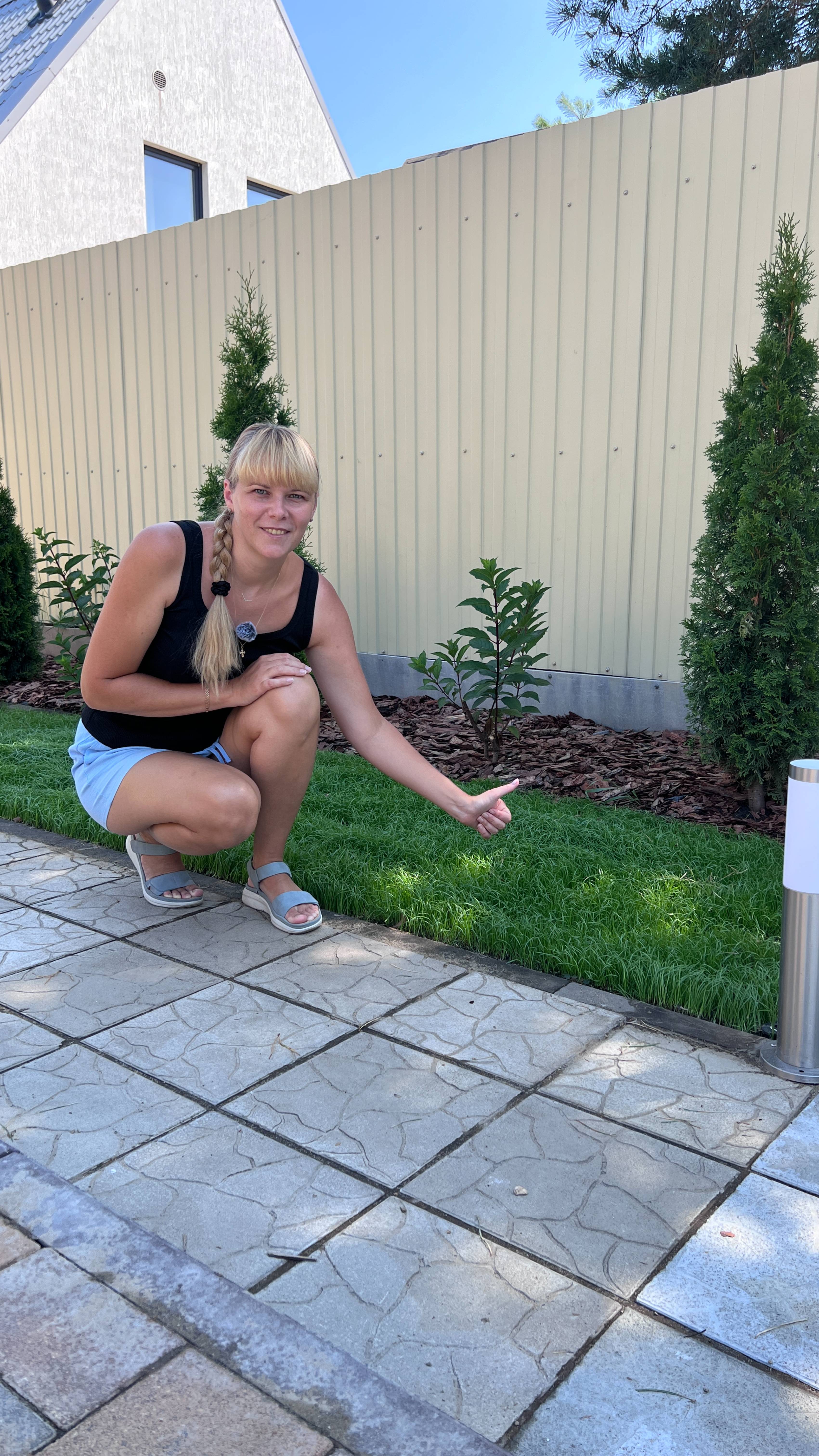 Газон. Основные шаги по подготовке почвы и участка перед посевом семян.