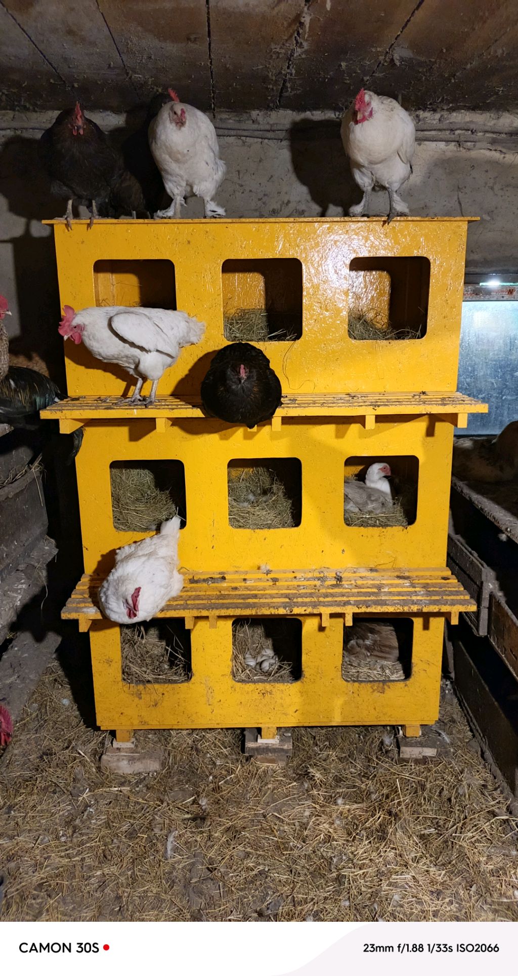 Ремонтирую колёса для содовой тележки