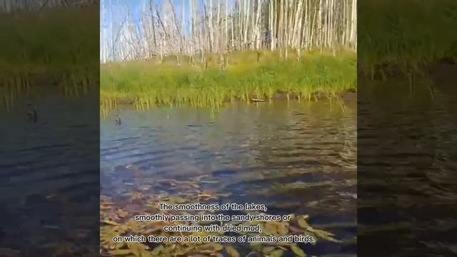 Дмитрий Авдеенко, 4 возрастная категория