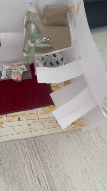 Это цвергшнауцер Оранджи