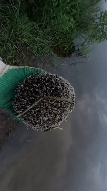 ПОЧТИ УТОНУЛ