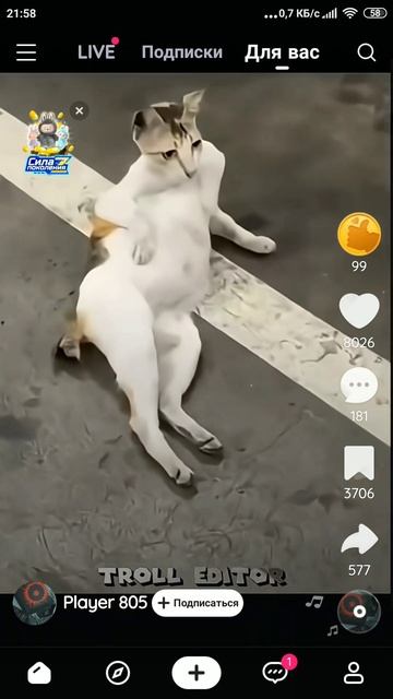 рон