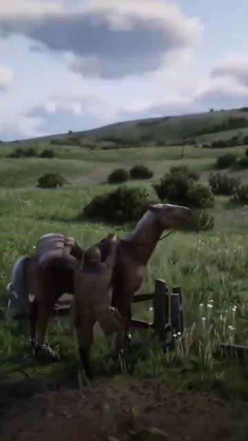 Мурад не обманул#rdr2 #rdr2brutalfunnymements #rdr2online #rdr2gameplay #приколывиграх #приколы