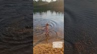 Дыня 🐕 и её первое лето ☀️
