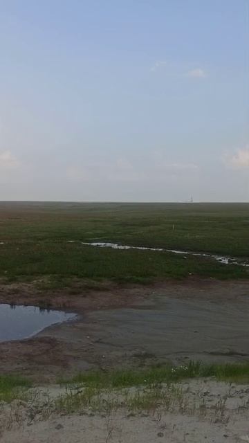 11-08-2025  Тундра,  Харасавей