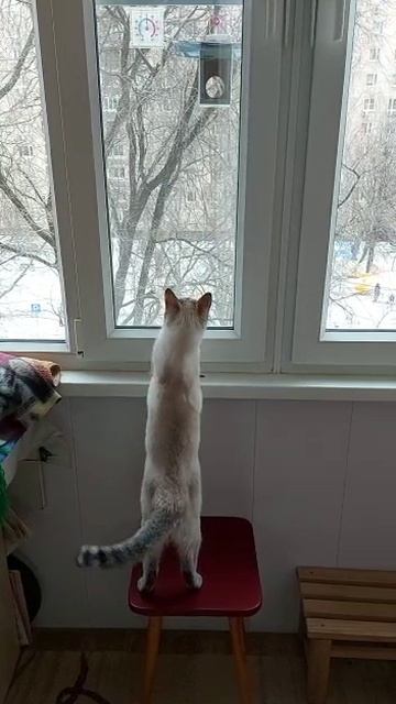 "Охота была удачной, правда?"