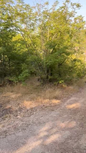 Начало дороги к Кизильташский мужской монастырь