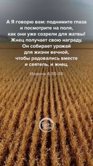 Иоанна 4:35-36