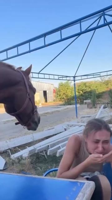 Просьбы были настолько серьезными, что вкусняшку все таки пришлось отдать. #18k