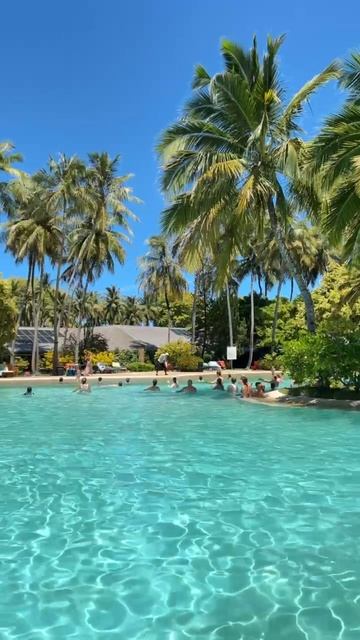 VID_20250811_164310_732.mp4