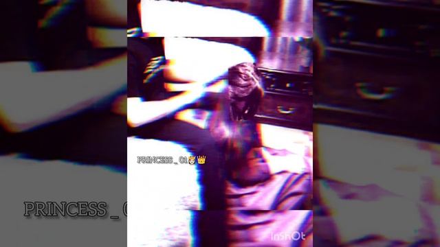 цыганская👸🧿 песня
Папина дочка любовь ты свою нашла 💔🧿⚜️