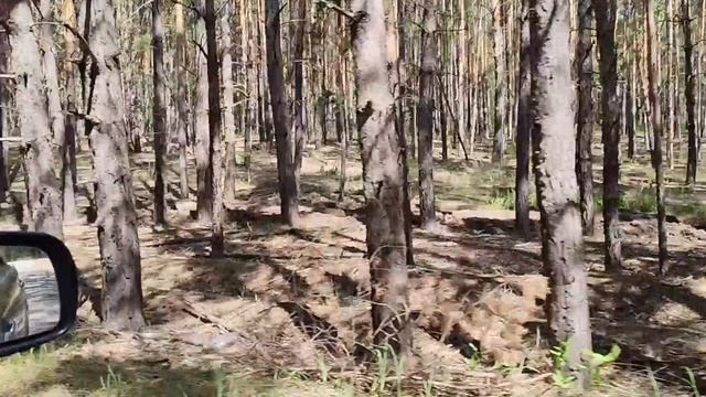 Дорога в Пискалинский Взвоз ver4 korotk1