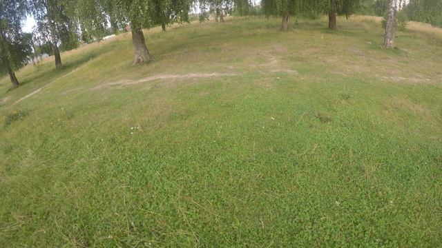 Прогулка по лесному полю. Тестирую GoPro Hero 5 спустя много лет