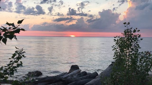 ️ Закат на Обском море | Лето 2024 | Сибирь | Бердск #закат #обскоеморе #лето2024 #Бердск #сибирь