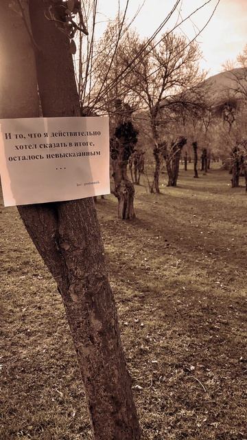 Тебе послание . . . 🤍 
#тебепослание #посланник