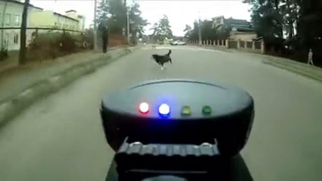 НОМЕР 11 ПРИКОЛЫ / ВИДЕО ПРИКОЛЫ / ПРИКОЛЫ ПРО / ПРИКОЛЫ ПОР/ СМЕШНЫЕ ПРИКОЛЫ / СМОТРЕТЬ ПРИКОЛЫ /